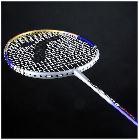Techman Ρακέτα Badminton