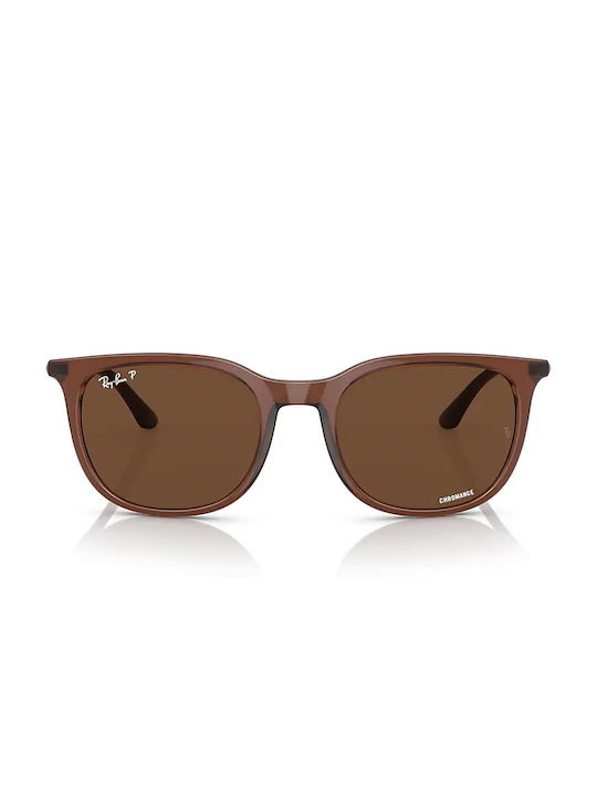 Ray Ban Sunglasses Brown with Mixed Frame & Brown Lens Ray Ban Sunglasses Brown with Mixed Frame & Brown Lens