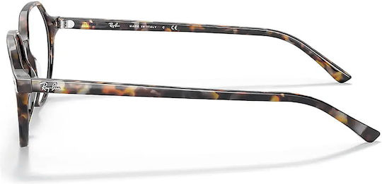 Ray Ban Thalia Acetate Frame Brown Tortoise RB5395 8173