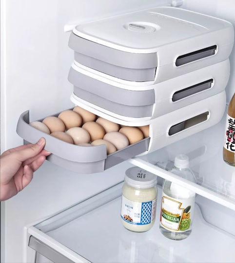 Fridge Egg Holder for 12 Eggs 29x22x8cm