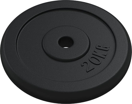 vidaXL Δίσκος Μεταλλικός 1 x 20kg Φ30mm