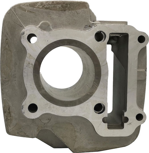 Yamaha Motorcycle Engine Cylinder for Yamaha Crypton 110