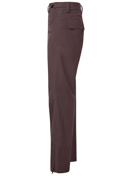 Oakley Best Cedar Rc Insulated FOA403445-24J Pantaloni de schi și snowboard pentru bărbați Ski & Snowboard Gri