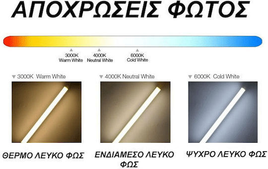 Eurolamp LED-Lampe 18W Röhrenform 120εκ. für Fassung G13 und Form T8 Kühles Weiß 1900lm