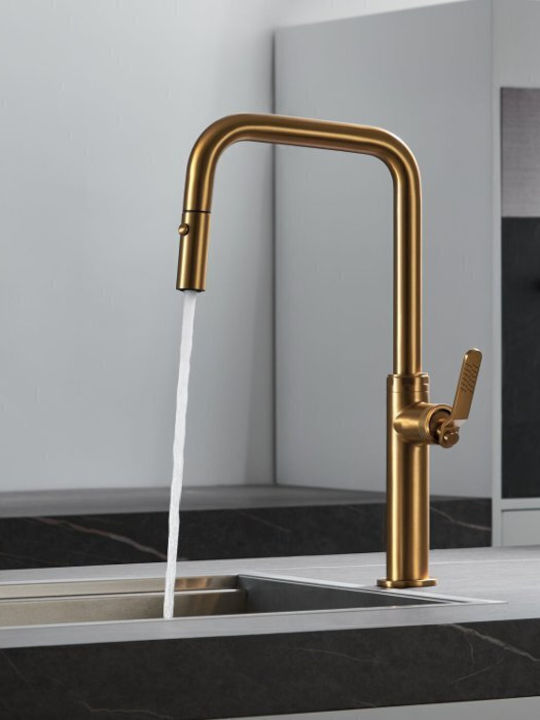 Imex Niza Kitchen Faucet Counter with Shower Rose Gold