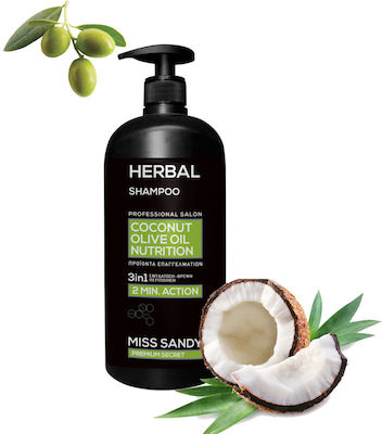 Miss Sandy Coconut Olive Oil Nutrition Shampoos Wiederaufbau/Ernährung für Alle Haartypen 1x750ml