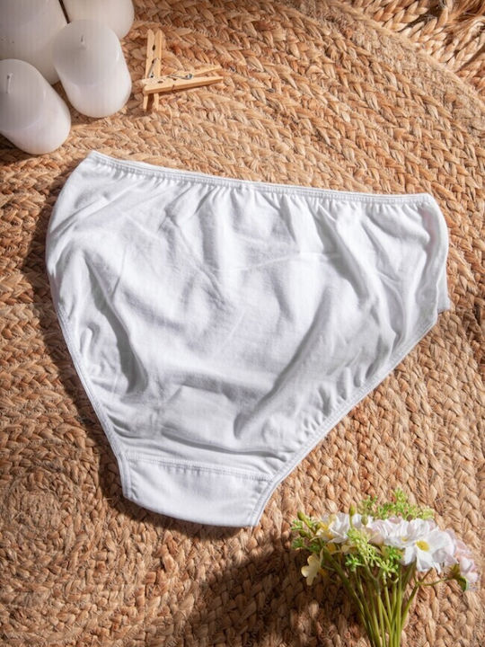 Fay Lingerie