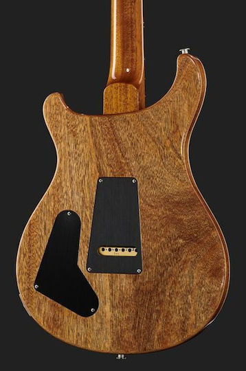 PRS Guitars Special 22 Chitară Electrică ES cu HSH Configurație Doze Charcoal cu Husă