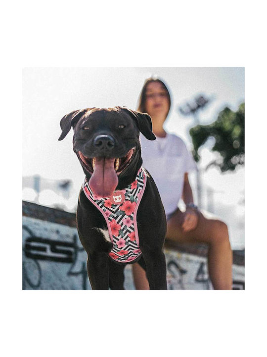 Zee-Dog Ham pentru câini Vestă Air Mesh Ham pentru câini Roz X-Small 24751