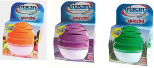 Ariasana Moisture Absorber Guzzini with Scent Lavender 1069050 45gr