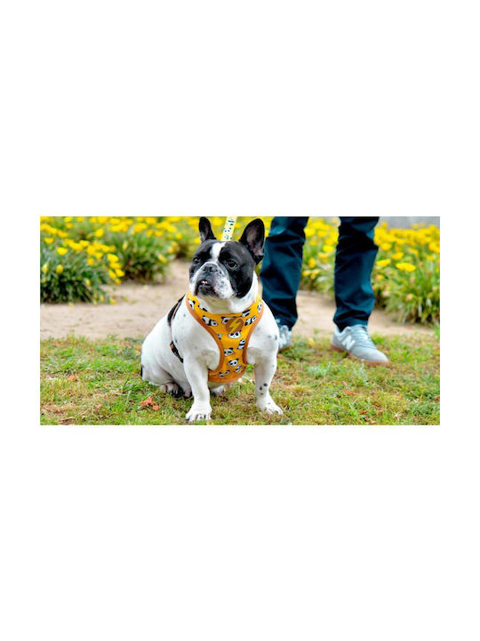 Dashi Dog Harness Vest Snooze Neo Mesh Small 2.8mm x 38-50cm DNM00032