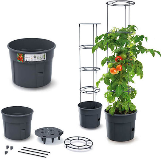 Marhome Tomato Grower