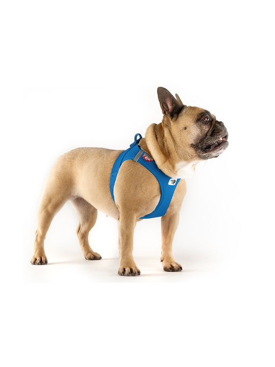 Curli Dog Harness Vest Clasp Air-Mesh Blue XX-Small 30-35cm PN2872
