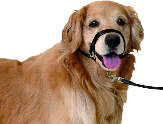 Flamingo Training Medium Dog Muzzle 55cm