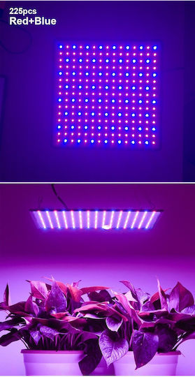 Pendant Grow Light with LED and Power 3000W 3τμχ.