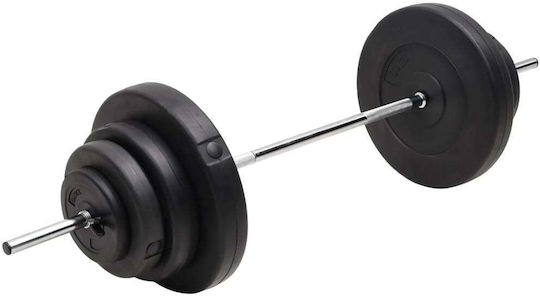 vidaXL Φ25mm Set with Weights 60kg Length 140cm with Collars