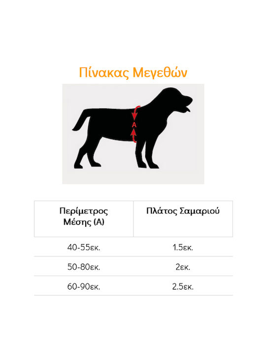 WauDog Superman Logo Μπλε Medium 20mm x 50-80cm