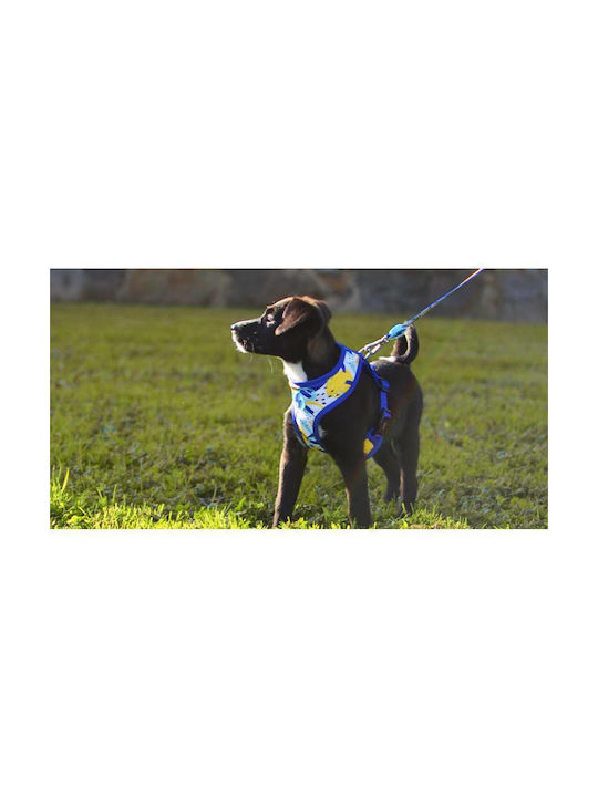 Dashi Hundegeschirr Weste Nebula Neo Mesh Klein 38-50cm DNM00107