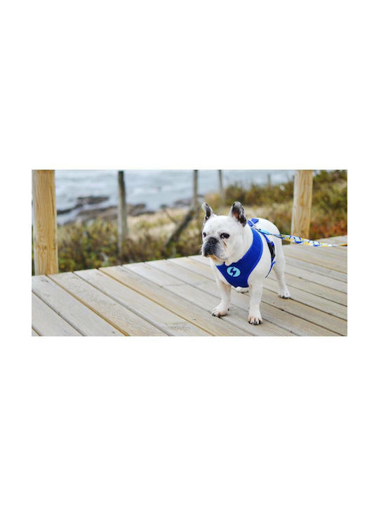 Dashi Hundegeschirr Weste Nebula Neo Mesh Klein 38-50cm DNM00107