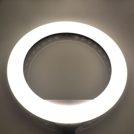 Ringlicht 36cm 3000 - 6000K mit Stativ Boden und Halterung für Handy