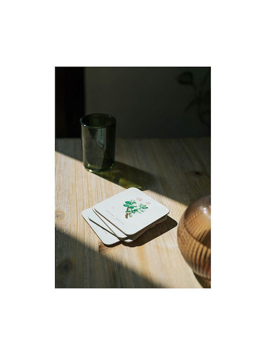 Grupo Erik Botanical Cacti by Kokonote Σουβέρ από Φελλό Πολύχρωμο 9x9cm 4τμχ