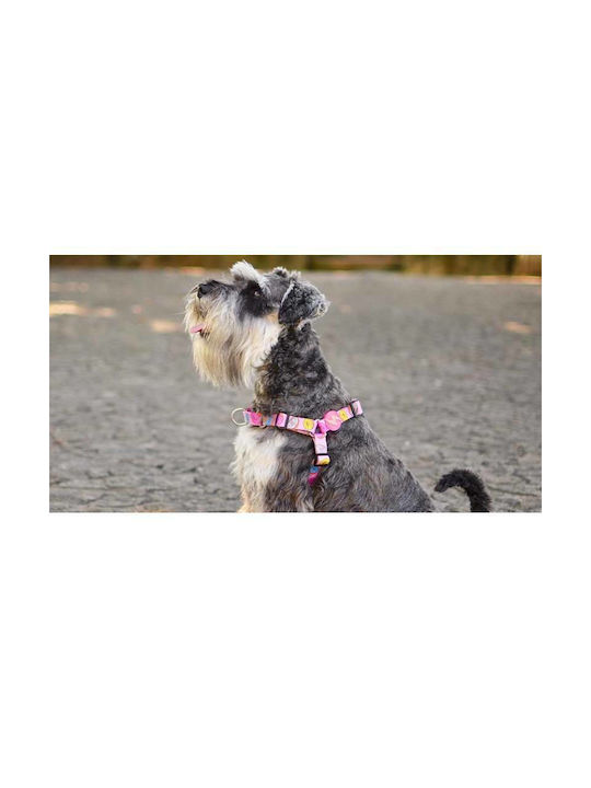 Dashi Dog Harness Training Donut Pink Small DFH034