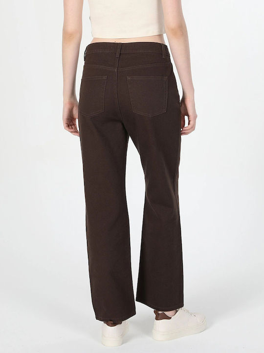 Colin's Women's Chino Trousers Brown