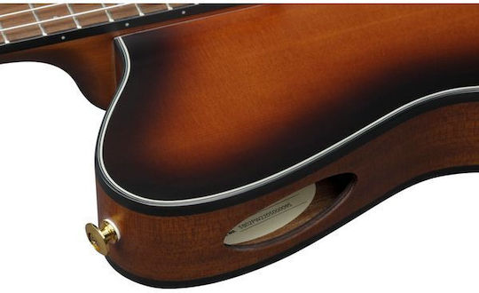 Ibanez Κλασική Κιθάρα 4/4 FRH10N-BSF Brown Sunburst Flat
