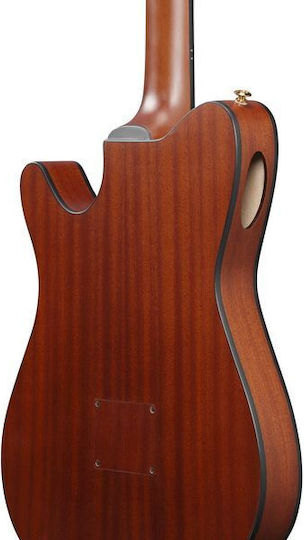 Ibanez Κλασική Κιθάρα 4/4 FRH10N-BSF Brown Sunburst Flat