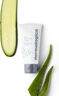 Dermalogica Skin Smoothing Moisturizing 48h Day/Night Cream Suitable for All Skin Types with Aloe Vera / Vitamin C 100ml