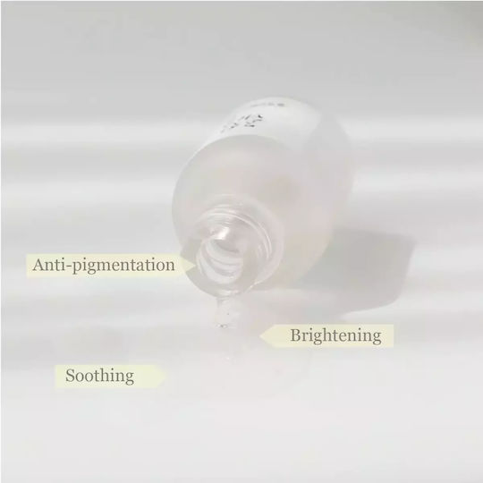 Beauty of Joseon Glow Deep Reis + Alpha-Arbutin Serum Gesicht mit Niacinamid & Vitamin B5 für Strahlkraft & Aufhellung 30ml