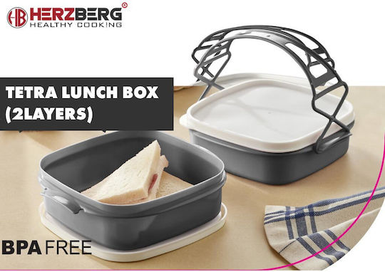 Herzberg Plastic Grey Lunch Box with Compartments 21.5x19.5cm