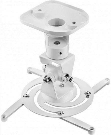 Techly Projektorhalterung Decke ICA-PM-100 mit maximaler Belastung von 10kg Weiß