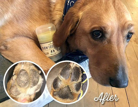Natural Dog Paw Soother για Πατούσες Σκύλου 60ml