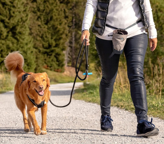 Curli Λουρί/Οδηγός Σκύλου Stretch Comfort Leash σε Ροζ χρώμα 1.80m x 0.8cm