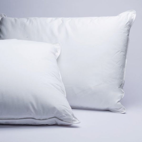 Palamaiki Cottonello Kopfkissen Baumwolle 50x80cm