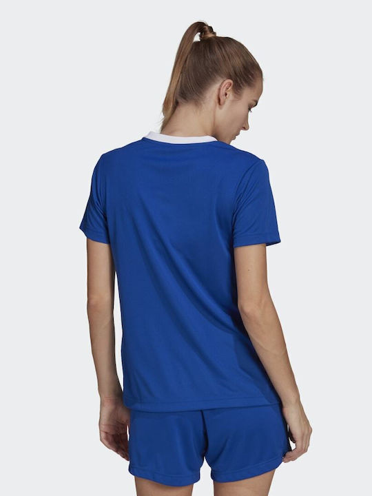 adidas adidas