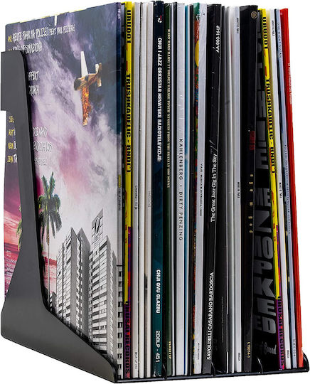 Audio Anatomy Vinyl Stand