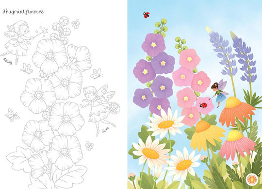 Transfer Activity Book Fairies