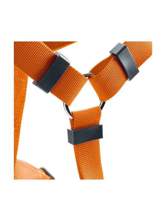 Hunter London Vario Rapid X-Small / XX-Small 32-52cm Hunter London Vario Rapid X-Small / XX-Small 32-52cm