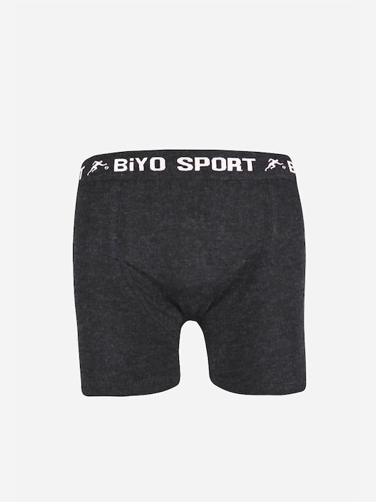 Biyo Biyo