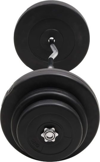 vidaXL ​Στραβόμπαρα Φ25mm Σετ με Βάρη 60kg Μήκους 120cm χωρίς Κολάρα