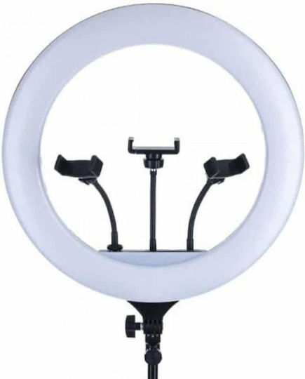 Selfie Ring Light Ring Light 36cm with Floor Tripod and Mobile Phone Holder