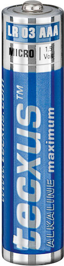 Tecxus Maximum Αλκαλικές Μπαταρίες AAA 1.5V 4τμχ