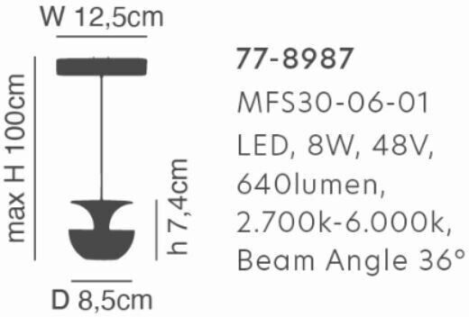Home Lighting MFS30-06-01 Deckenleuchte Schwarz LED mit Kaltweißem Licht Schiene 8.5x7.4cm
