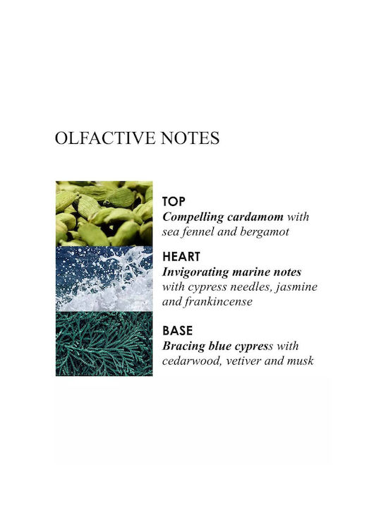 Molton Brown Aromatisches Kerze in Gefäß mit Duft Coastal Cypress & Sea Fennel 190gr
