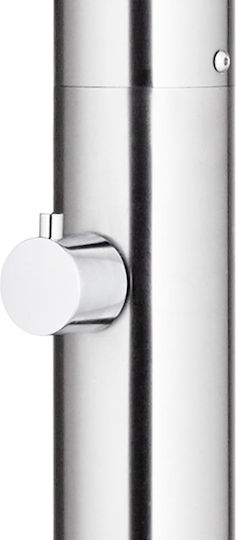 vidaXL Pool Shower with Length 62cm Silver