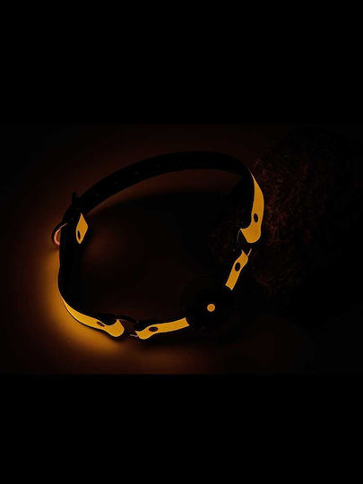 Dream Toys Radiant Glow In The Dark Ball Gag Φίμωτρο Orange