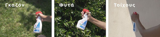 Gemma Draker RTU Spray Insecticid pentru Muște / Furnicile / Pulăci / Gândaci / Țânțari 400ml Fără Miros