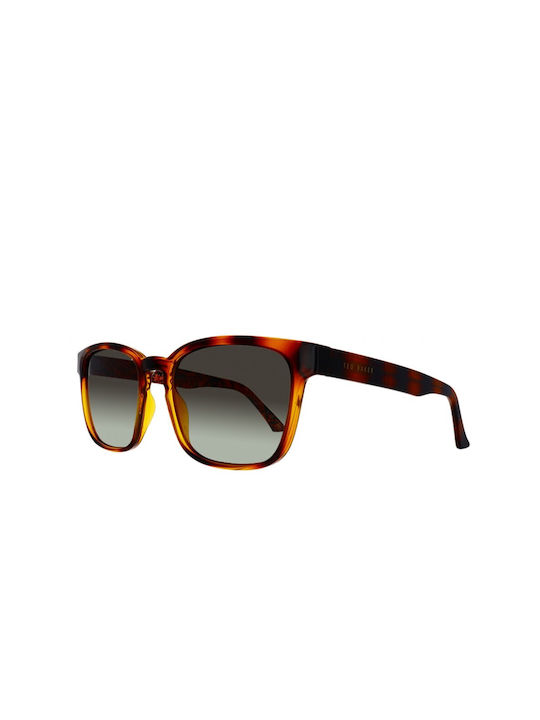 Ted Baker Men's Sunglasses with Brown Tartaruga Acetate Frame and Gray Gradient Lenses